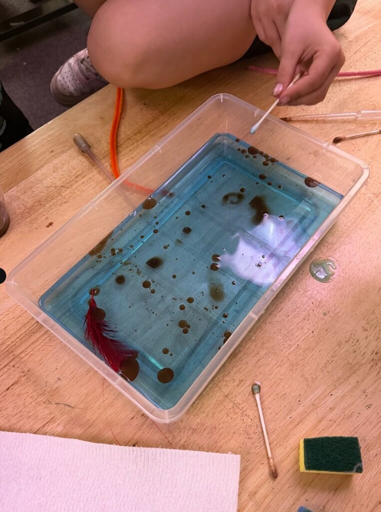 stem lesson