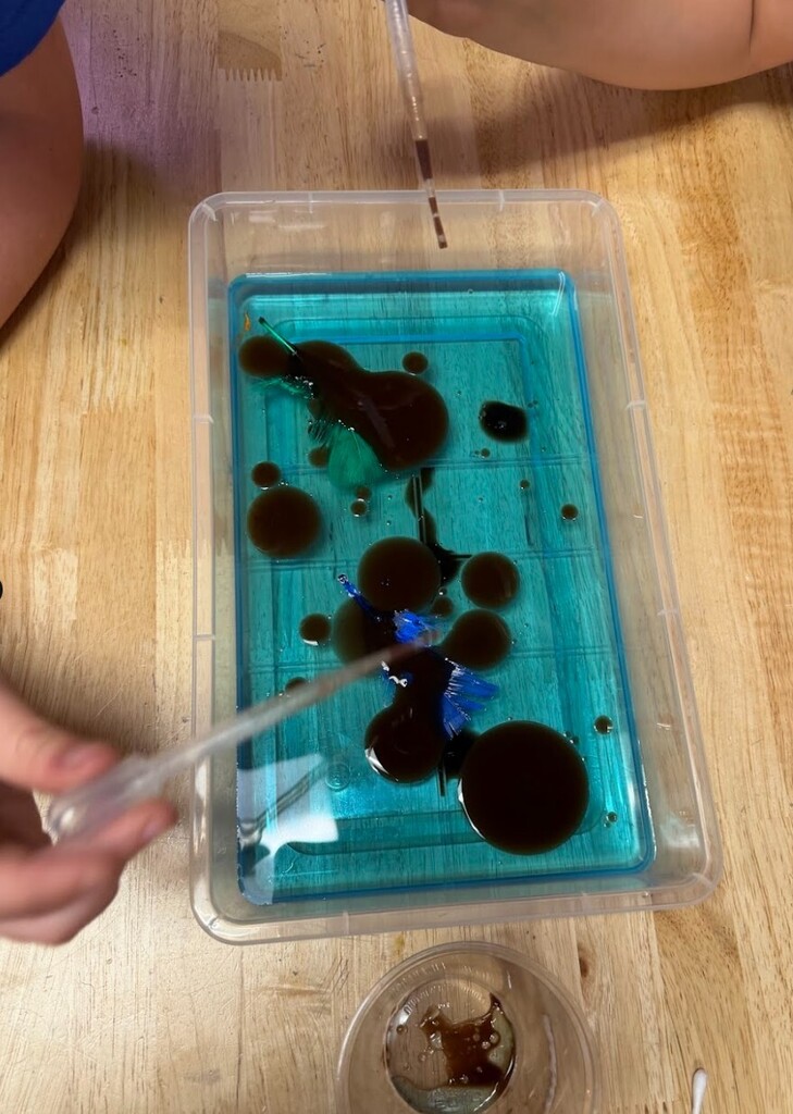 stem lesson