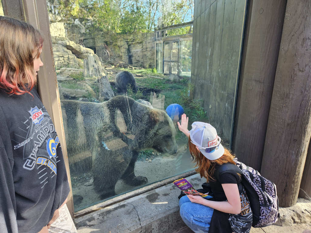 zoo