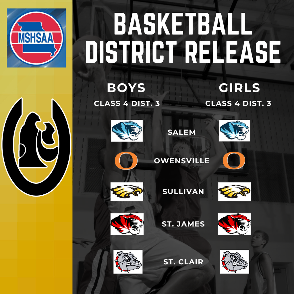 Dist. Basketball