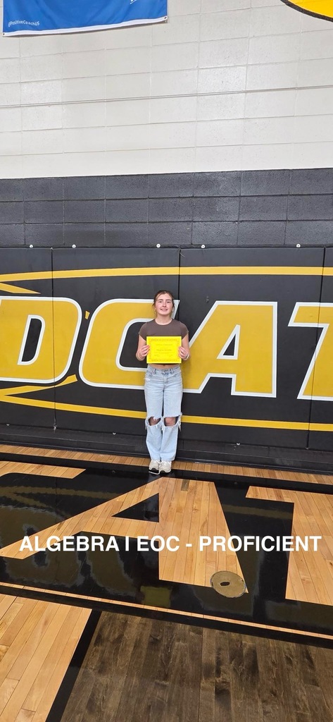 Algebra 1 EOC - Proficient