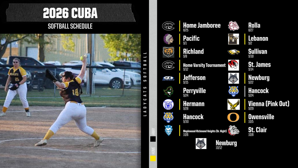 Informational Graphic for Softball
