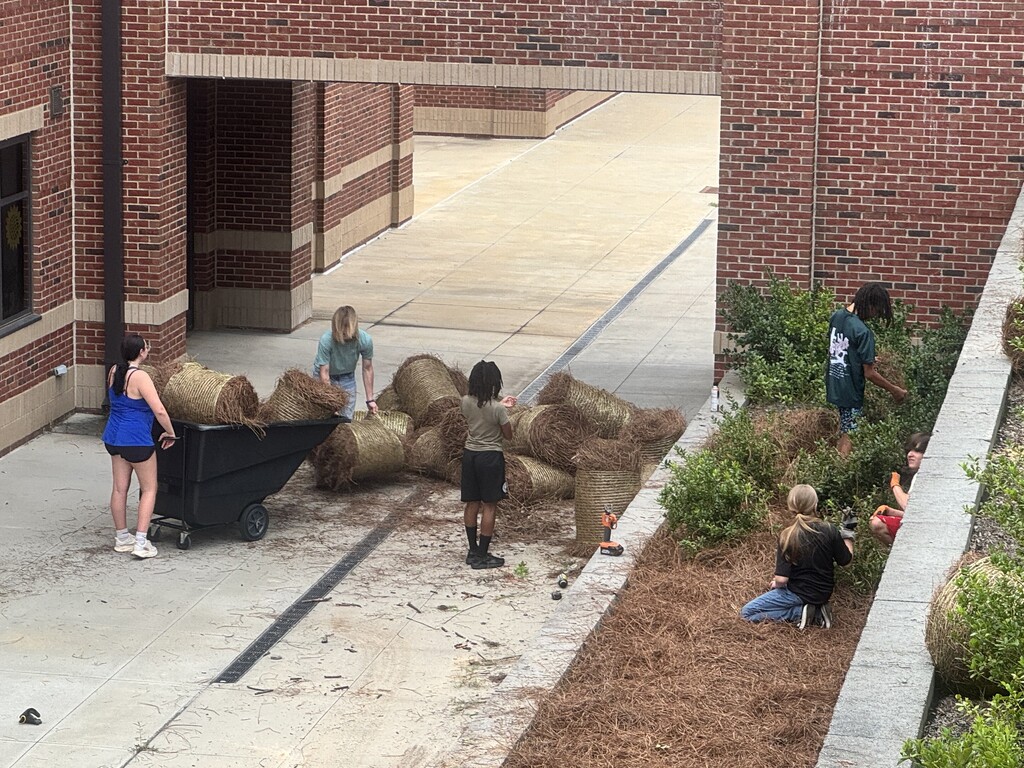jrotc students help place pinestraw outside the school building