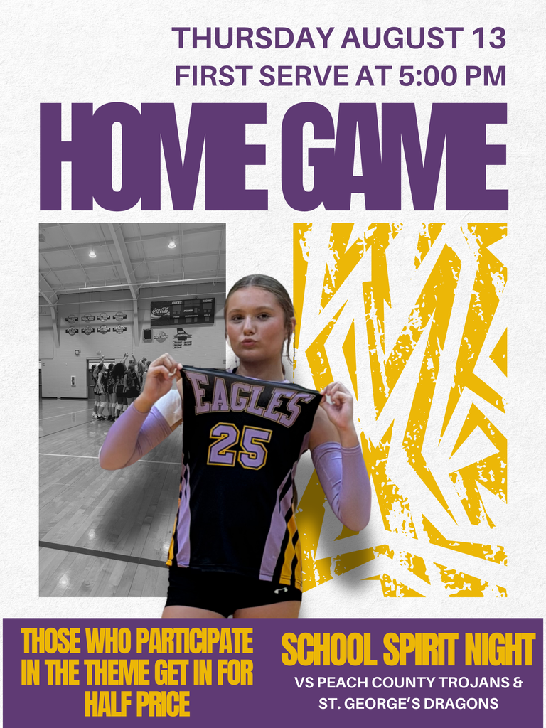 volleyball game flyer advertising school spirit night