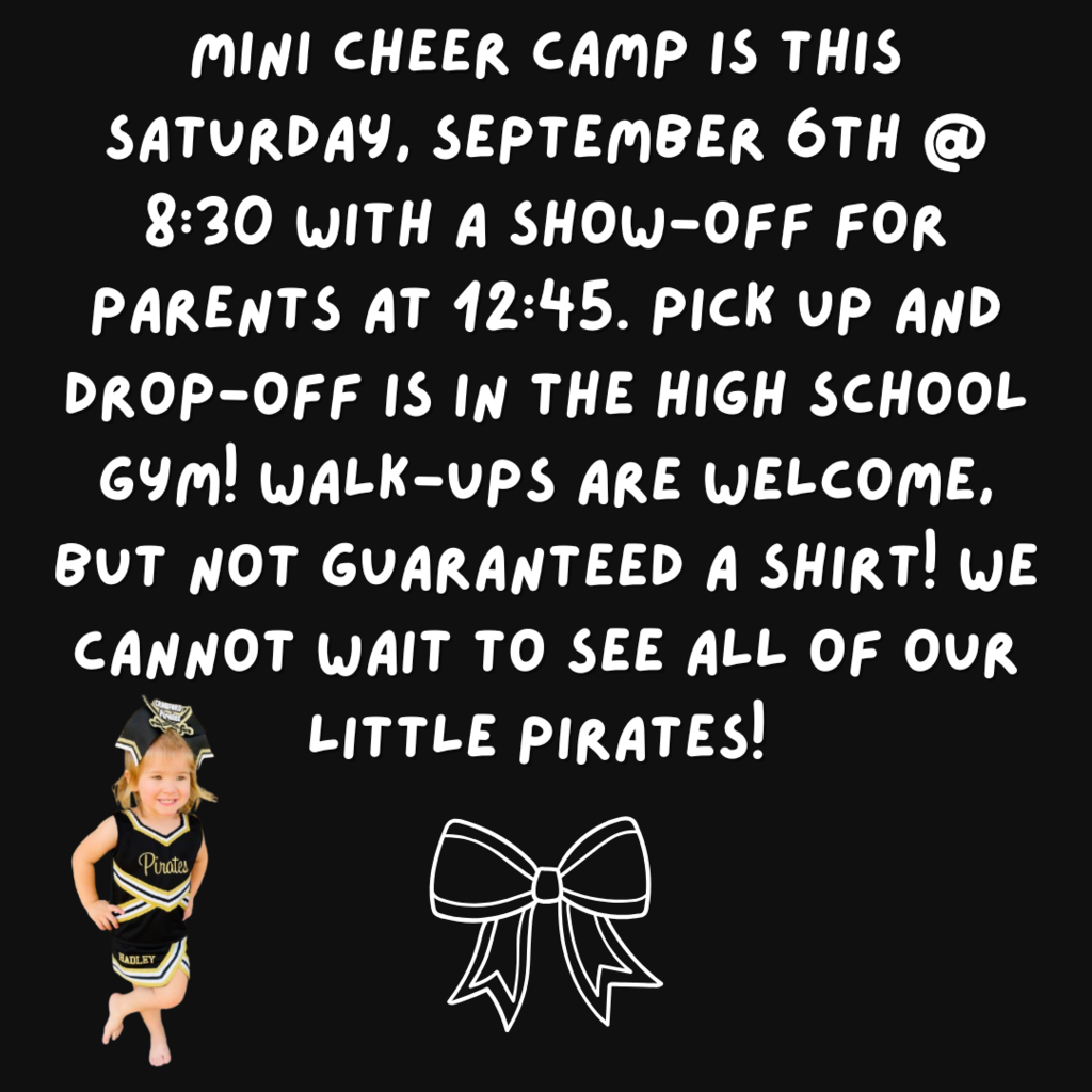 mini cheer camp