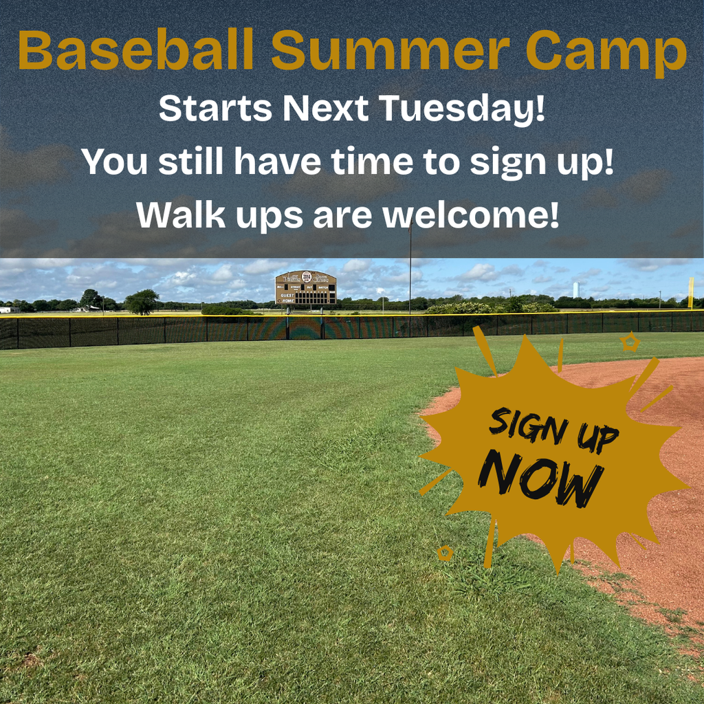 baseball camp
