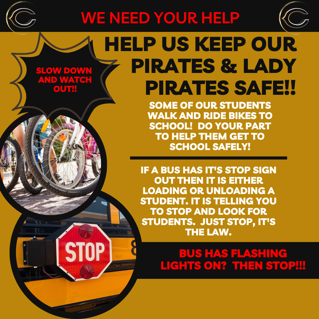 keep pirates safe