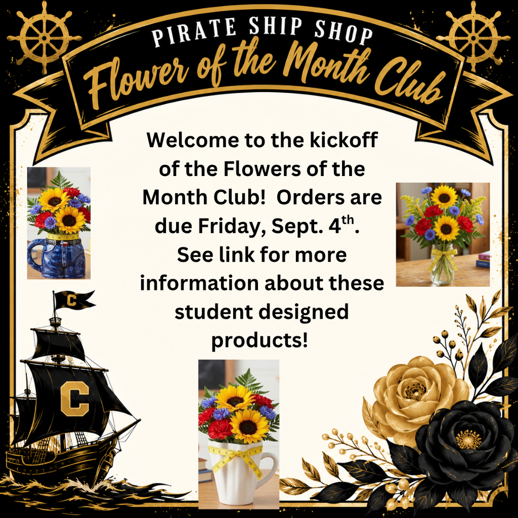 pirate ship shop