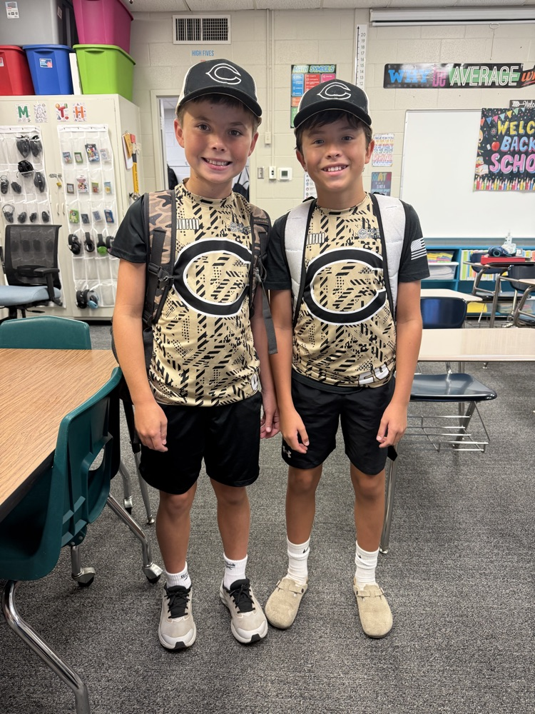 twin
