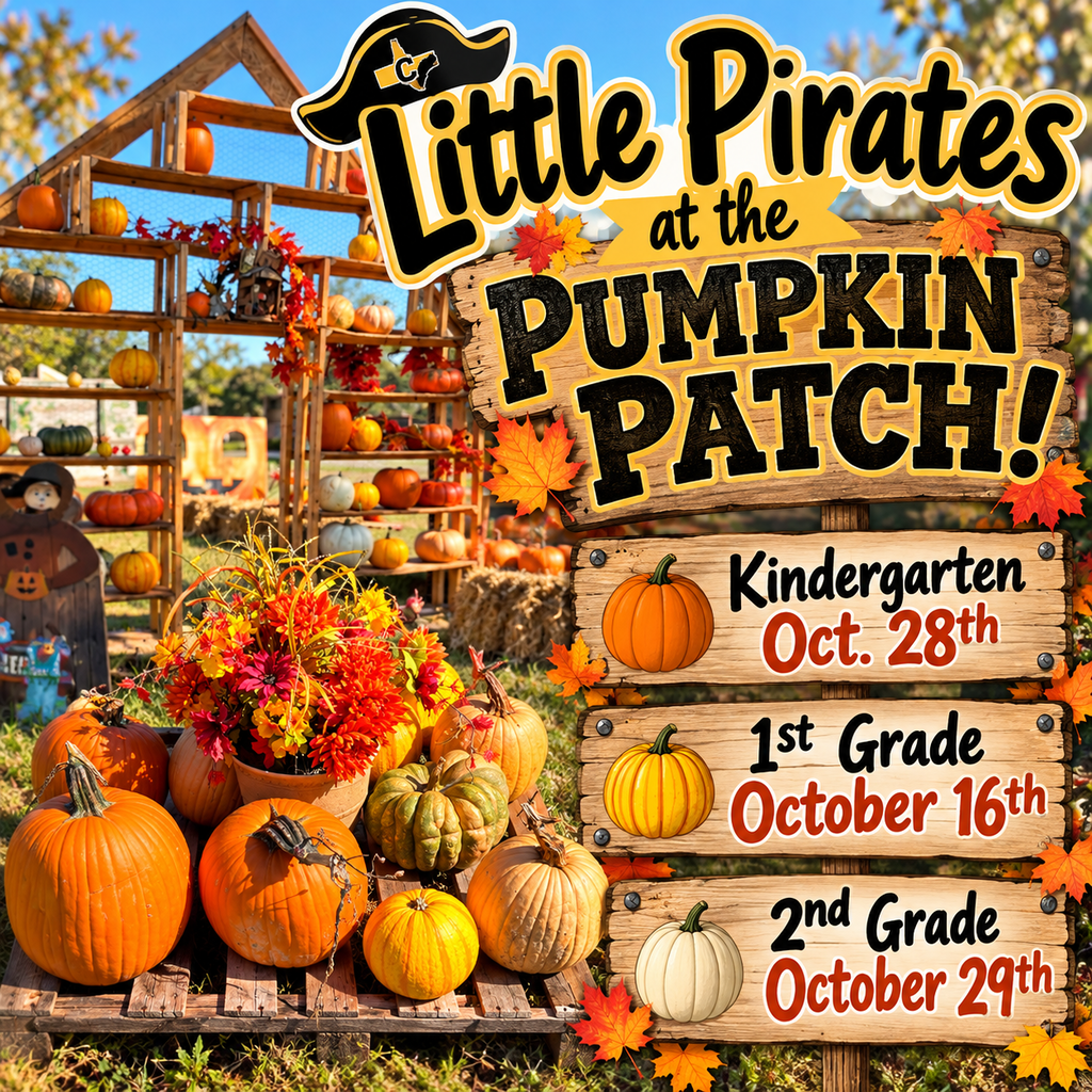 pumpkin patch