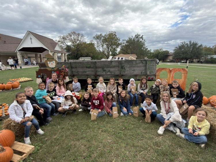 pumpkin patch