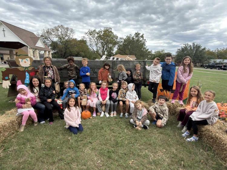 pumpkins