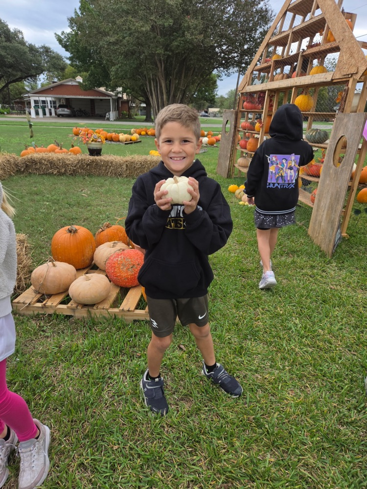 pumpkins