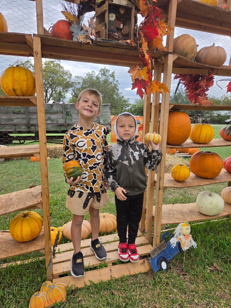 pumpkin