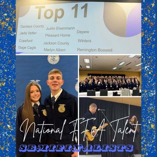 top 11
