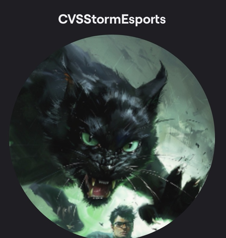 CVS Esports Channel Main graphic Giant cat chasing an esports student