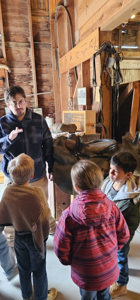 Side saddle for the ladies to ride in a dress. 