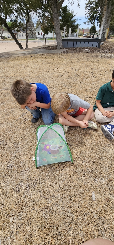 Taking one last look. 