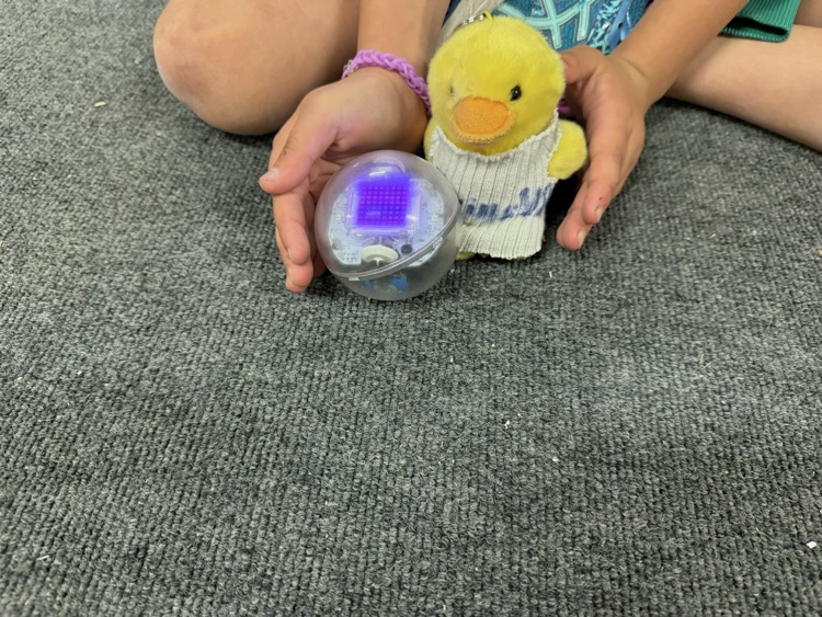 skillsUSA duck