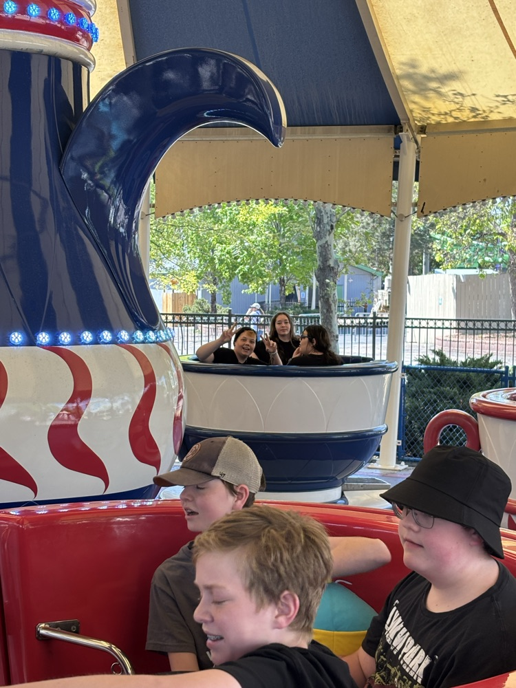 more teacups