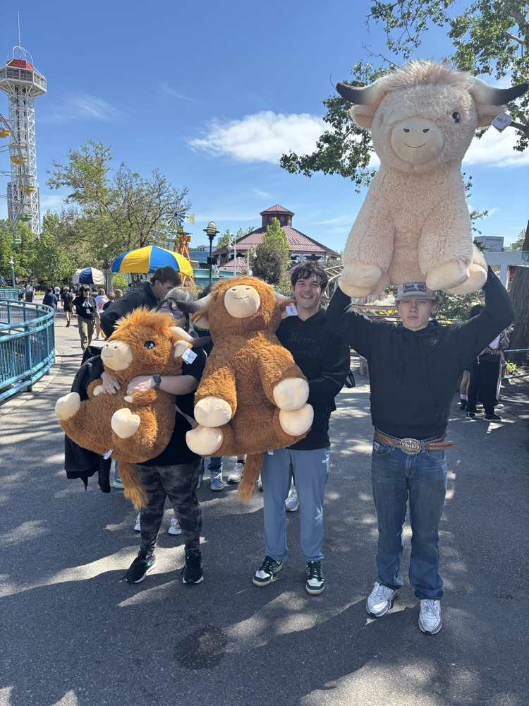 winners of big stuffies