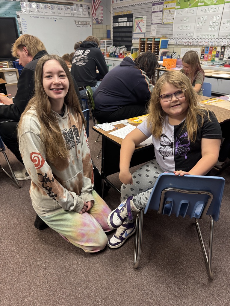 Seniors and 2nd grade short story collaboration.