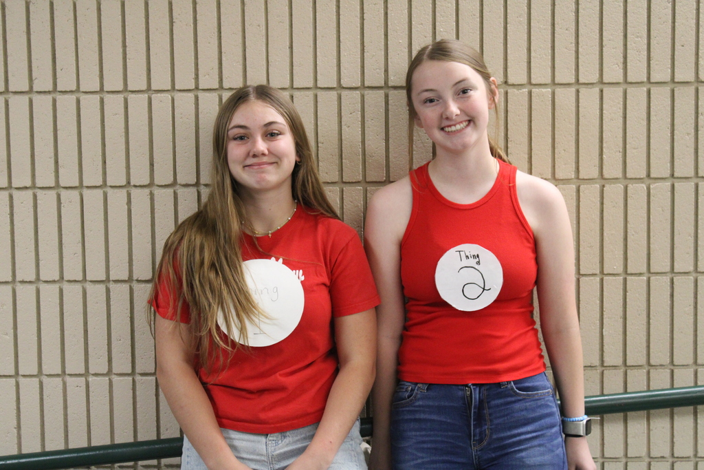 Thing 1/2