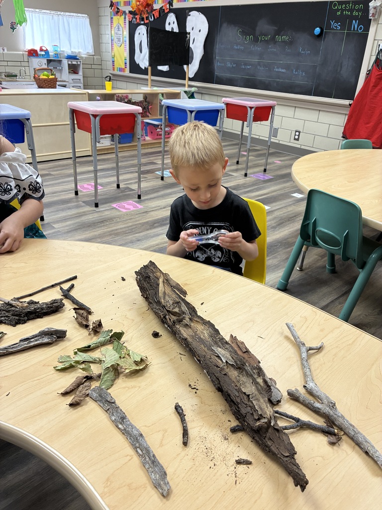 Tree Investigation
