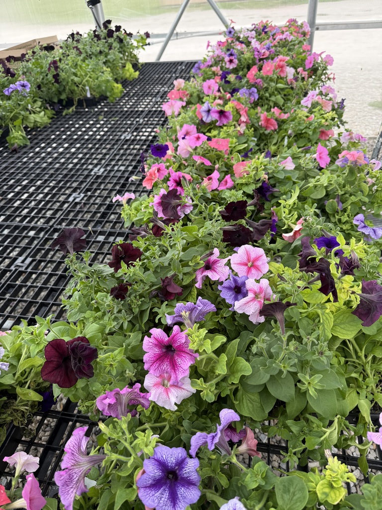 The Crest Ridge Greenhouse will Day. 