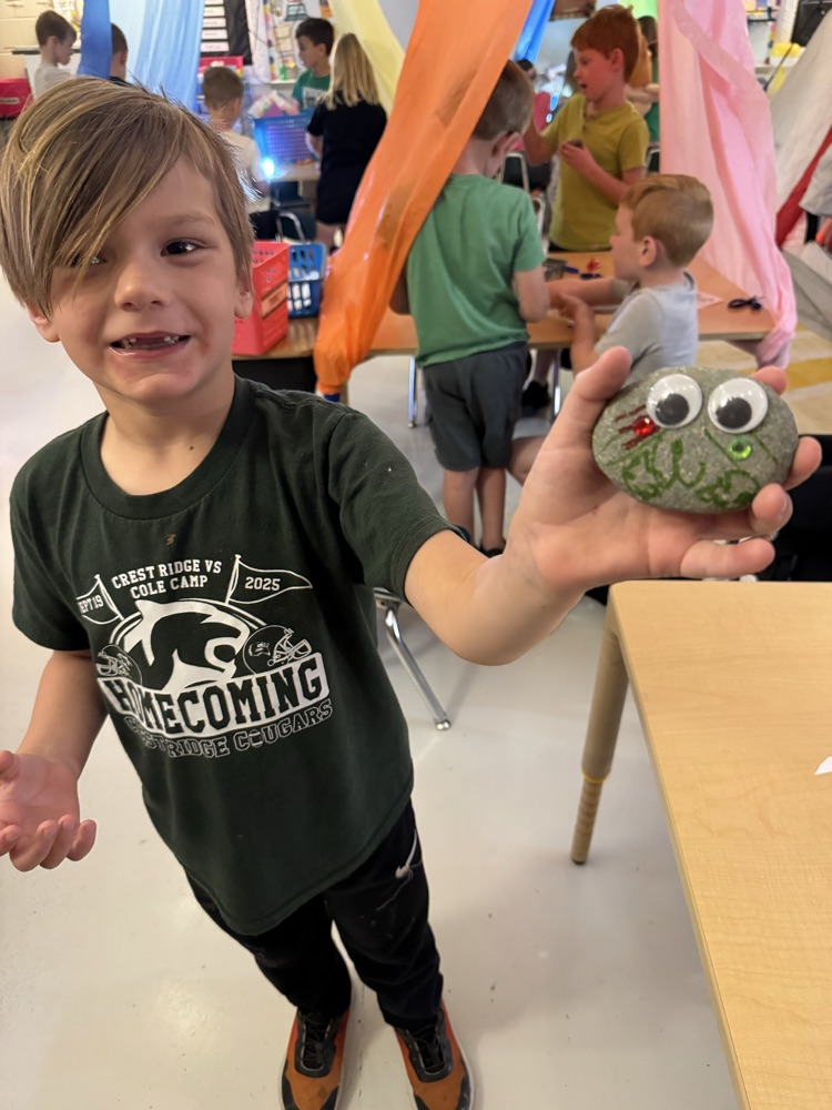 pet rocks