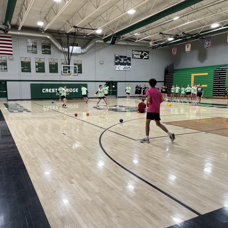 dodgeball action