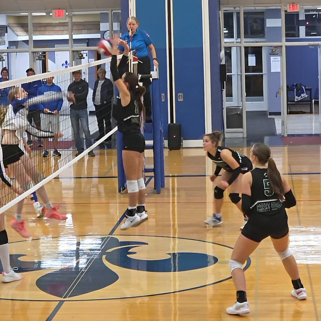 vb