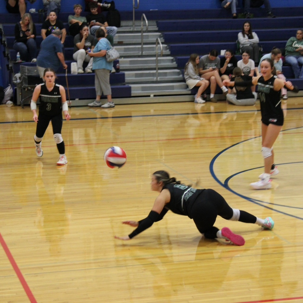 vb
