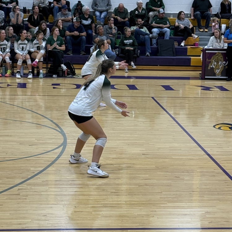 vb