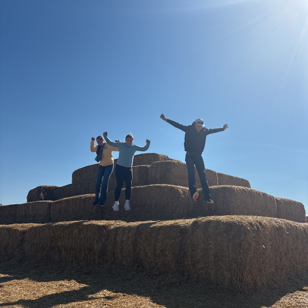 Hay