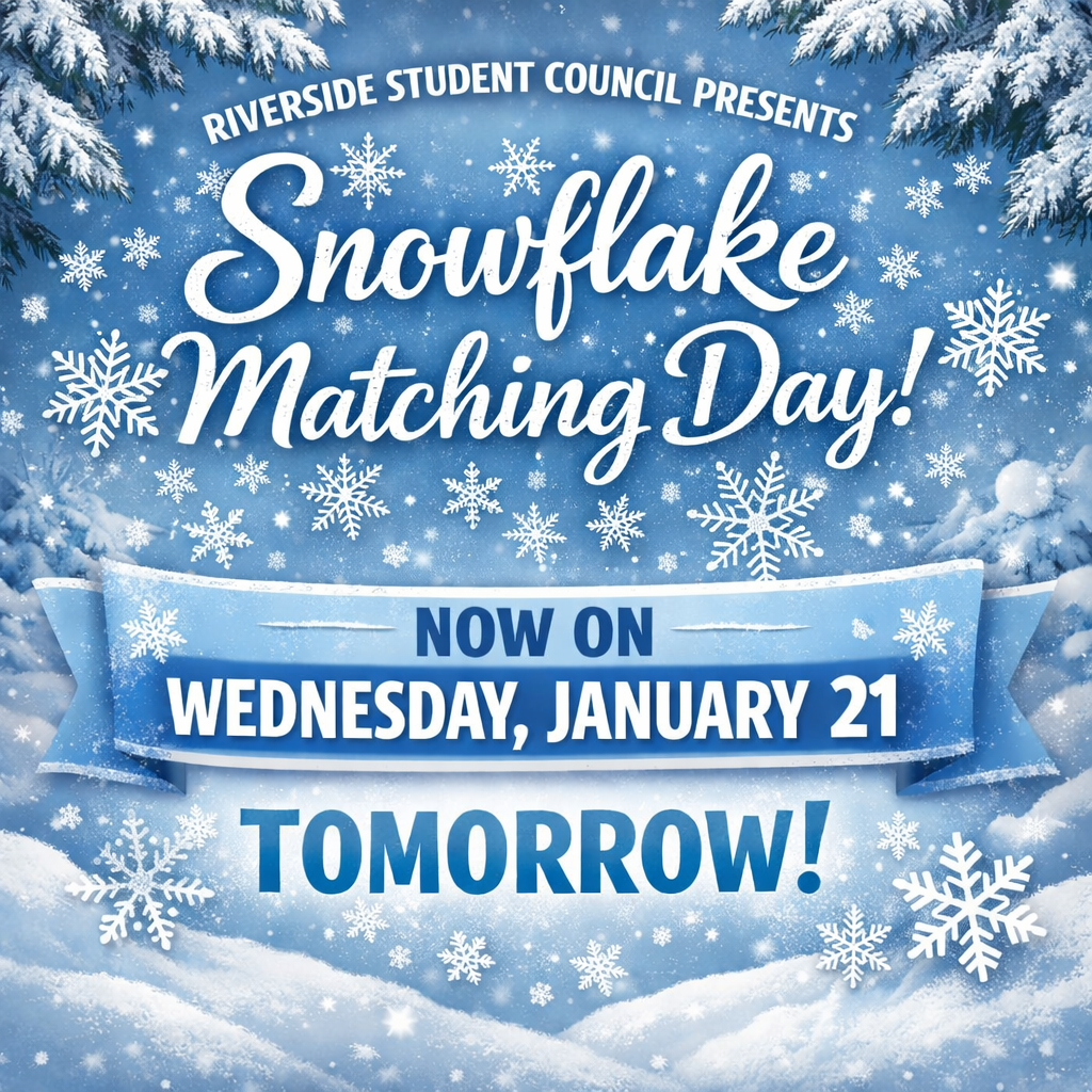 Snowflake Matching Day
