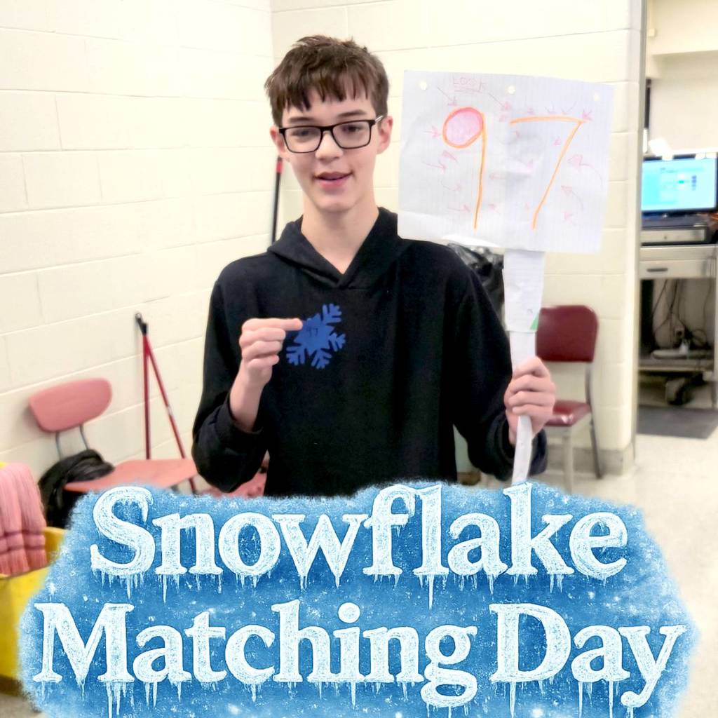 Snowflake Matching Day (7)