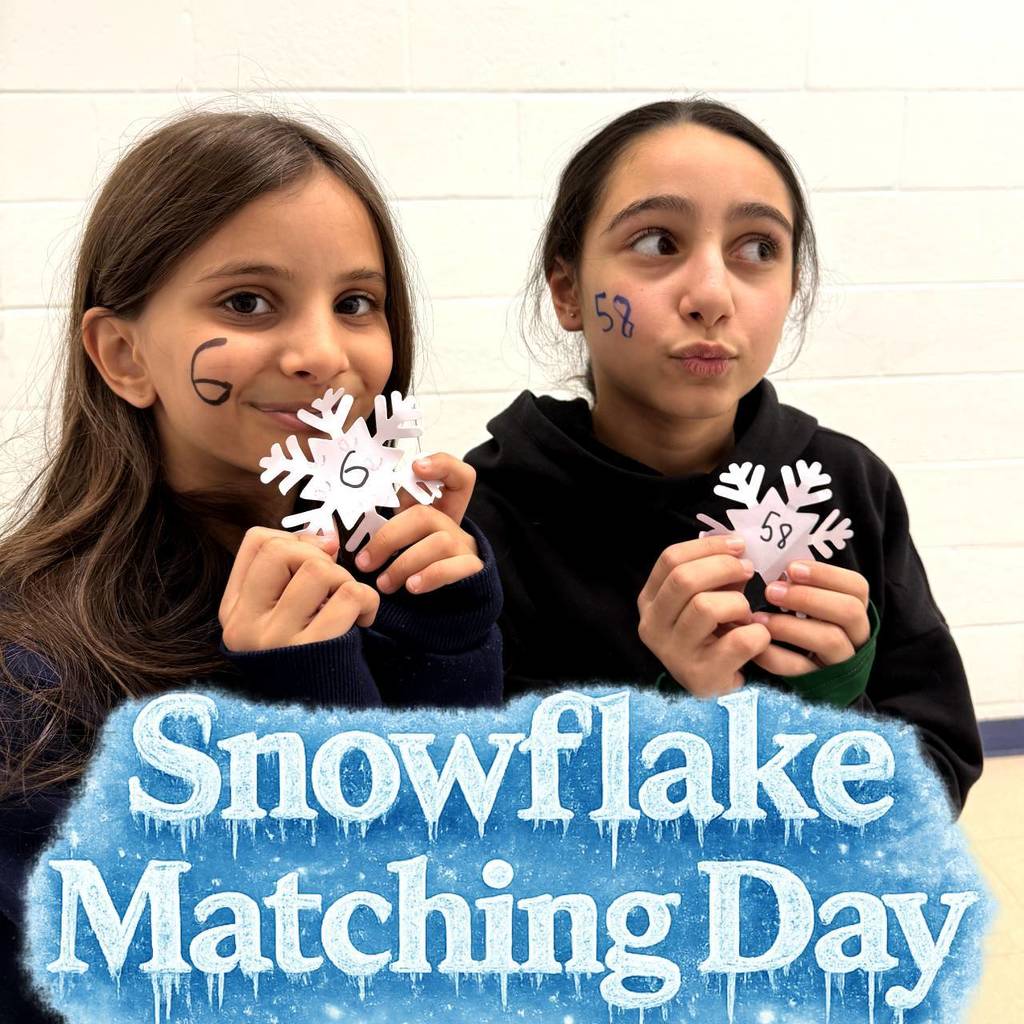 Snowflake Matching Day (3)