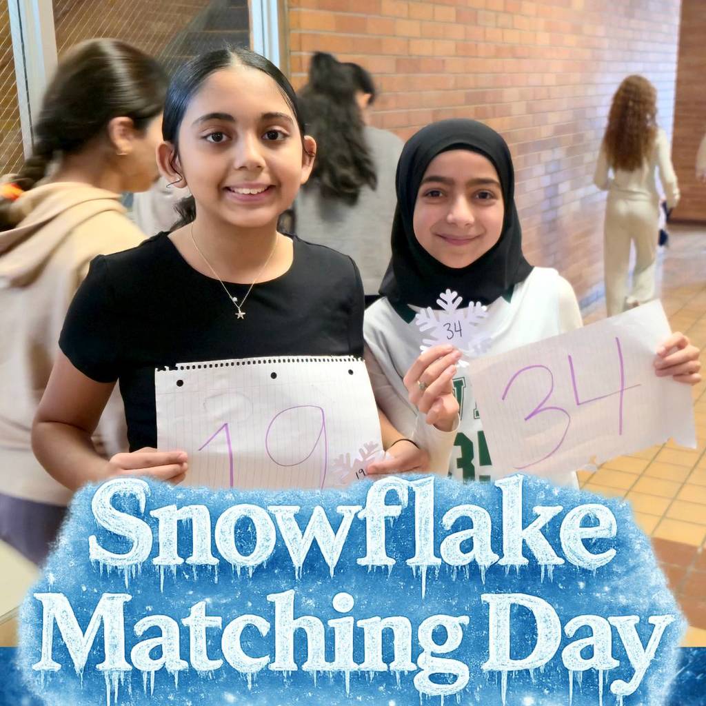 Snowflake Matching Day (8)