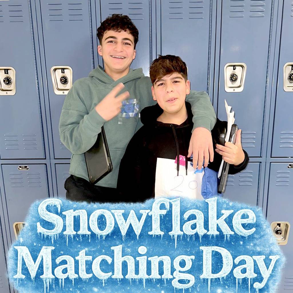 Snowflake Matching Day (10)