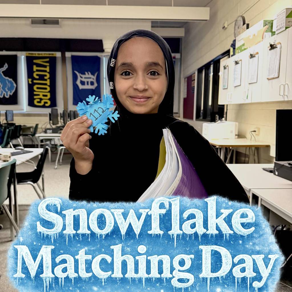 Snowflake Matching Day (9)