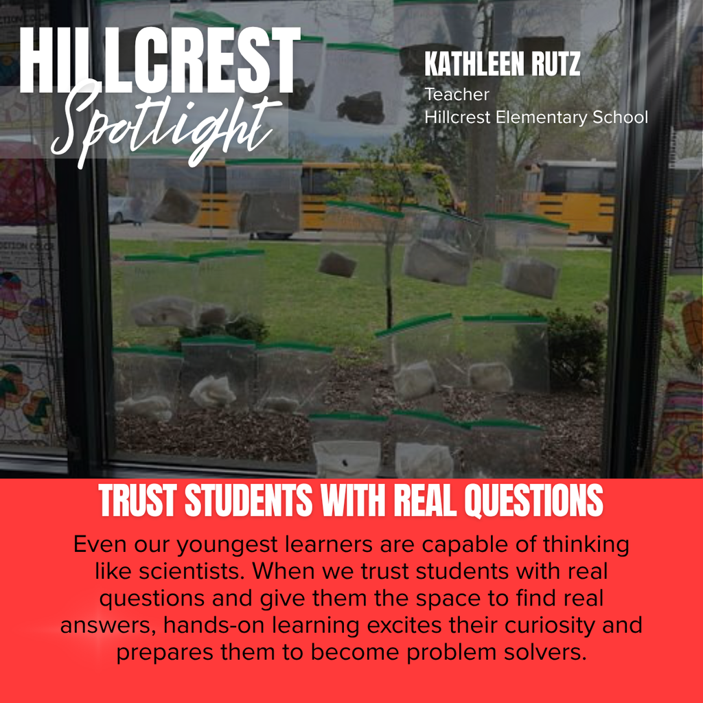 A promotional graphic titled “HILLCREST Spotlight” features a classroom science investigation displayed on a large window. The word “HILLCREST” appears in large white capital letters in the upper left corner, with the word “Spotlight” written beneath it in large white script over a semi-transparent gray rectangle. In the upper right corner, white text reads: “KATHLEEN RUTZ” followed by “Teacher” and “Hillcrest Elementary School.”  The main photograph shows numerous clear resealable plastic bags taped to a classroom window in neat rows. Each bag contains different natural materials, including rocks, soil, leaves, moss, and other outdoor objects collected by students for observation and comparison. Through the window, a grassy area, trees, and two yellow school buses are visible outside, reinforcing the connection between the outdoor environment and the classroom investigation. Colorful student artwork and classroom displays can be seen along the edges of the window, framing the science activity within the classroom.  Across the bottom of the photograph, large white capital letters read: “TRUST STUDENTS WITH REAL QUESTIONS.”  The bottom third of the graphic is a bright red panel containing centered black text that reads: “Even our youngest learners are capable of thinking like scientists. When we trust students with real questions and give them the space to find real answers, hands-on learning excites their curiosity and prepares them to become problem solvers.”  The overall design combines a real classroom science investigation with bold typography and red accents to recognize Kathleen Rutz of Hillcrest Elementary School while highlighting the value of inquiry-based, hands-on learning that encourages students to think critically, explore their environment, and develop problem-solving skills.