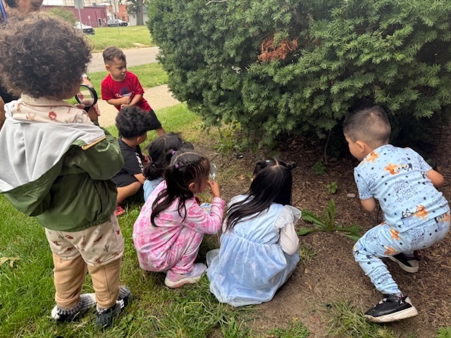 Students exploring by a bush.