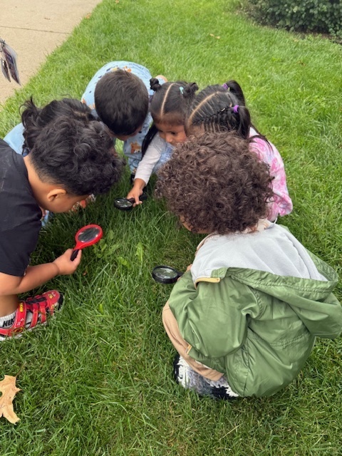 Students exploring in the grass.
