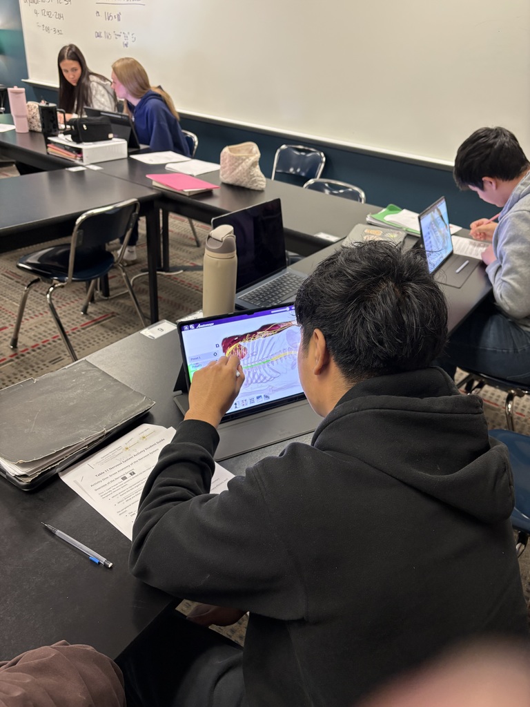 3 pictures of students using anatomage ipads in class.