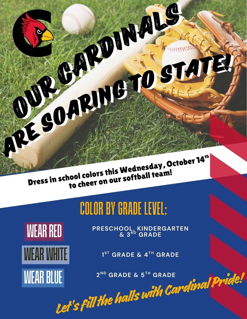 Flyer for state softball