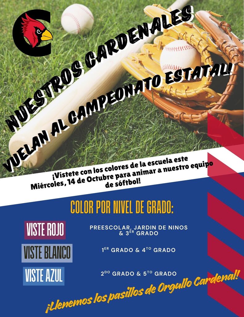 Flyer for state softball