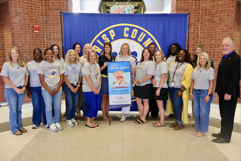 Literacy Leader School