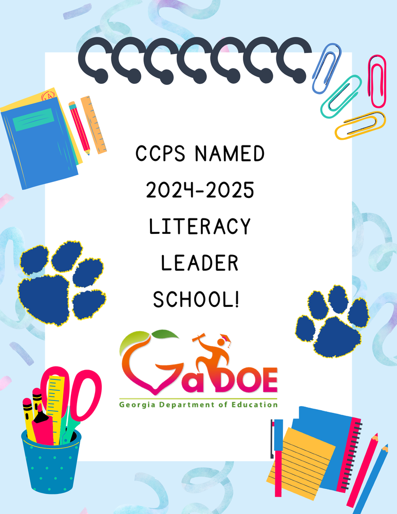 Literacy Leader School