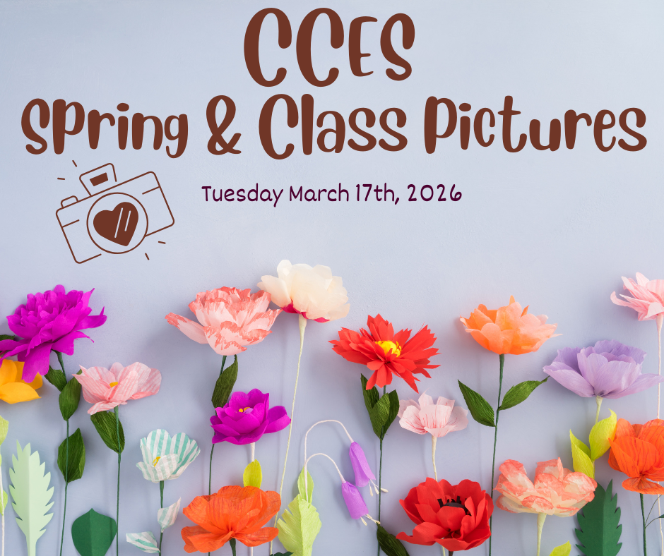 Colorful Paper Art Hello Spring Facebook Post